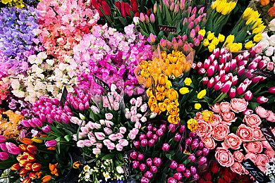 《博德之门3》就像玩家自己的《权游》 高潮迭起